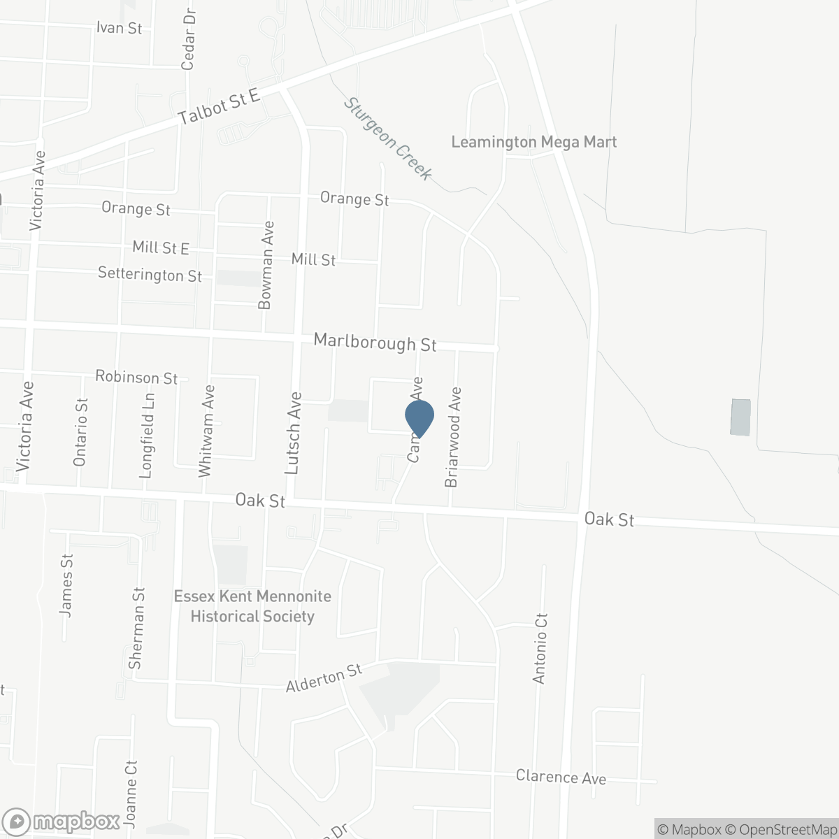 24 CAMELOT AVENUE, Leamington, Ontario N8H 4V6
